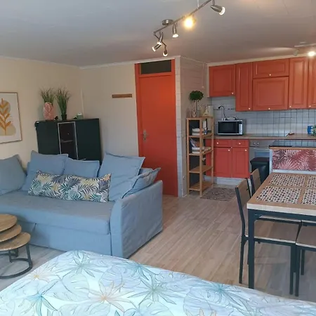 Apartment 3 - 3 Ambiances - Confort - Piscine Ouverte Juillet Aout - Zwembad Open July Augustus *