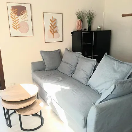 Apartment 3 - 3 Ambiances - Confort - Piscine Ouverte Juillet Aout - Zwembad Open July Augustus *